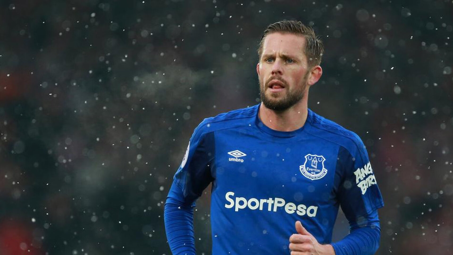 孤星闪耀—莱万多夫斯基如何定义2026世界杯C组唯一一场非对称决战